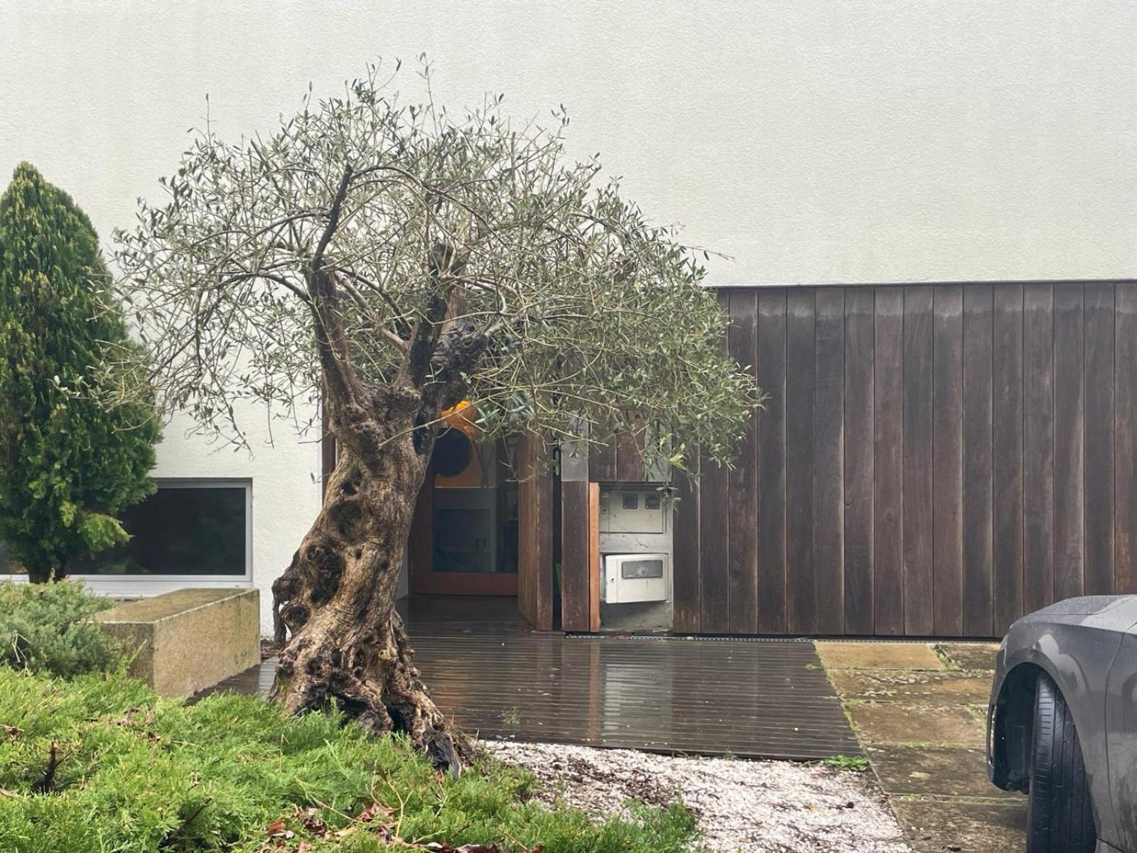 Ferienwohnung Gloria'S Design House Santiago de Compostela Exterior foto